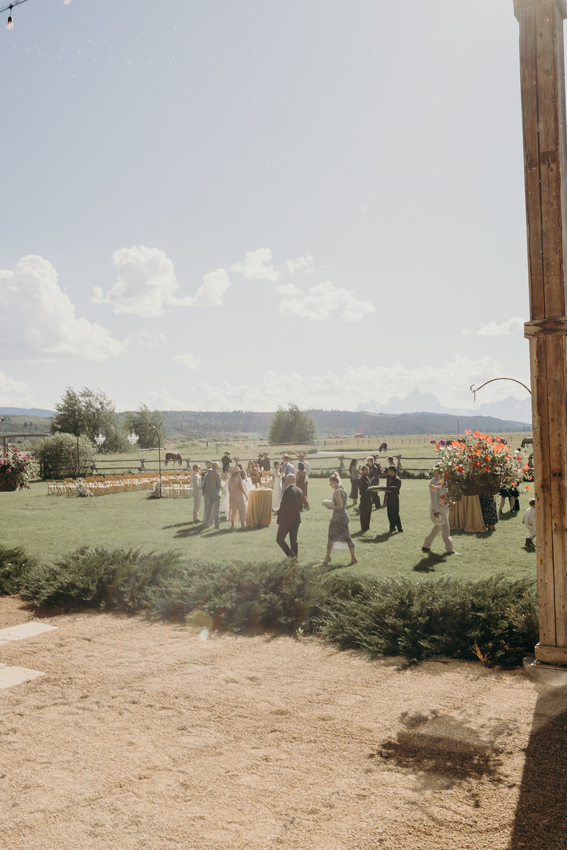 Wedding party from window